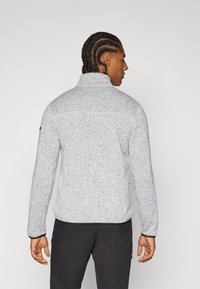 Icepeak ADRIAN - Sudadera con cremallera - light grey