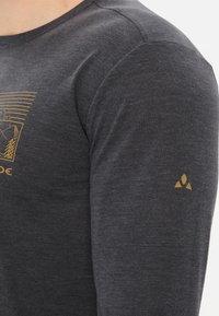 Langarmshirt van donkergrijze stof. Heeft een gouden grafisch ontwerp op de borst en een klein goudkleurig logo op de linkermouw. Zachte textuur.