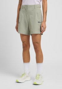 Hellgrüne Shorts mit zwei Fronttaschen, einem Reißverschluss und einem bestickten Logo auf der linken Seite. Der Stoff wirkt glatt und leicht.