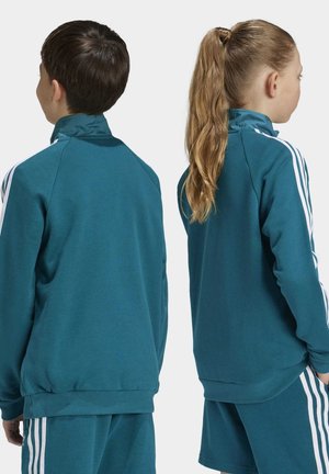 Chaqueta de manga larga de color verde azulado con acentos de rayas blancas, puños y dobladillo acanalados. Tejido suave, diseñado para la comodidad. Vista desde la parte de atrás, usada por dos niños.