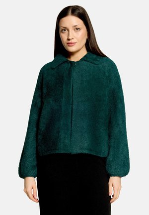 Frau mit langen dunklen Haaren, die eine dunkelgrüne, flauschige Jacke mit Kragen und langen Ärmeln trägt, steht vor einem schlichten hellen Hintergrund.