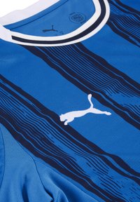 Blauwe sporttrui met horizontale strepen in donkerder blauw. Beschikt over een wit Puma-logo en een ribbelige witte halslijn. Gestructureerde stof.