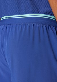 Mėlynos sportinės šortai su tekstūruotu paviršiumi ir elastinga juosta, dekoruota šviesiai mėlynomis juostelėmis. Lygus audinys ir laisvas kirpimas.