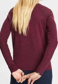 Bordowy prążkowany sweter z długimi rękawami, o dopasowanym kroju i subtelnej fakturze. Widok od tyłu pokazuje gładkie wykończenie bez widocznych elementów metalowych.