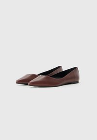 Brown pointed-toe leather women's ballet flats with black inner lining and low flat soles on a white background.
