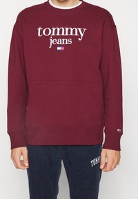 Felpa bordeaux con il logo "tommy jeans" in bianco. Collo a giro, polsini a costine e una cucitura orizzontale sul petto.