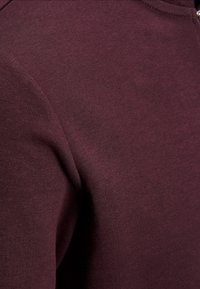 Burgundy long-sleeve garment, featuring a smooth, textured fabric with a slightly fitted shape and a high collar design.