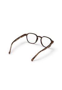 Kilpkonnakujuliste prilliraamidega prillid, millel on ümarate nurkadega ristkülikukujuline raami, õhukesed ja sujuvad sangad ning läbipaistvad läätsed. Kogu raamil on peen marmormuster.