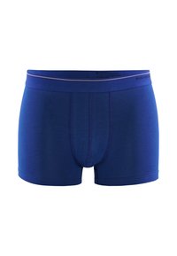 Siniset puuvillabikinit, joissa on pehmeä vyötärö ja muotoiltu malli. Ominaisuuksiin kuuluu suljettu etuosa ja lyhyet lahkeet, joissa on vaaleita ompeluyksityiskohtia.