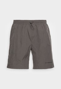 Shorts gris avec une taille élastique et un cordon de serrage. Fabriqués en matériau léger, avec des poches latérales et un détail de marque.