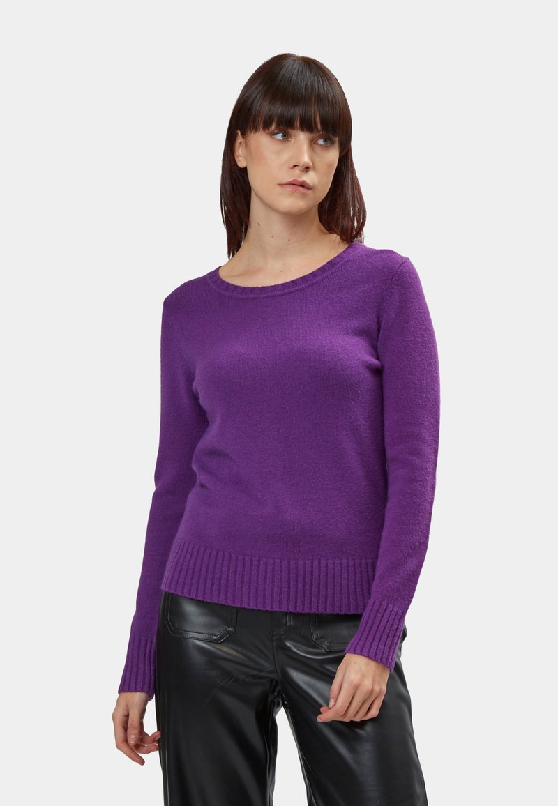 INFLUENCER CREW NECK - Strickpullover - purple