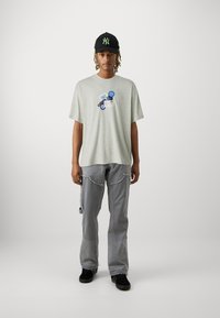 Replay M9Z1 T-SHIRT - Trükipildiga T-särk - ash grey melange