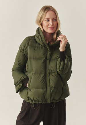 BUBO - Winterjacke - green