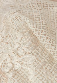 Delikat spets tyg i mjuk beige med intrikata blommönster och en texturerad yta, med öppna vävar och en slät finish.