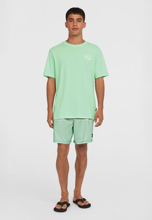 Mintgrøn bomulds T-shirt med rund hals og lille hvidt logo, parret med mintgrønne shorts med forstærket kant og sorte accenter.