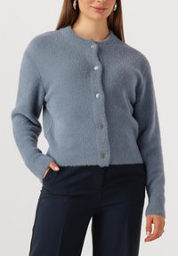 Lichtblauwe cardigan van zacht, pluizig materiaal met een ronde halslijn, zilveren knopen en geribbelde manchetten. Zakjes geïntegreerd in het ontwerp.