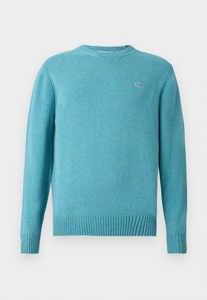 Light blue crewneck sweater with long sleeves, ribbed cuffs and hem, and small embroidered logo on left chest.