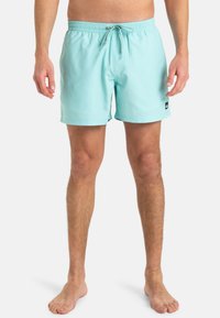 Shorts de bain bleu clair avec une taille élastique, cordon de serrage ajustable et un petit logo sur le côté inférieur. Fabriqués en tissu lisse et léger.