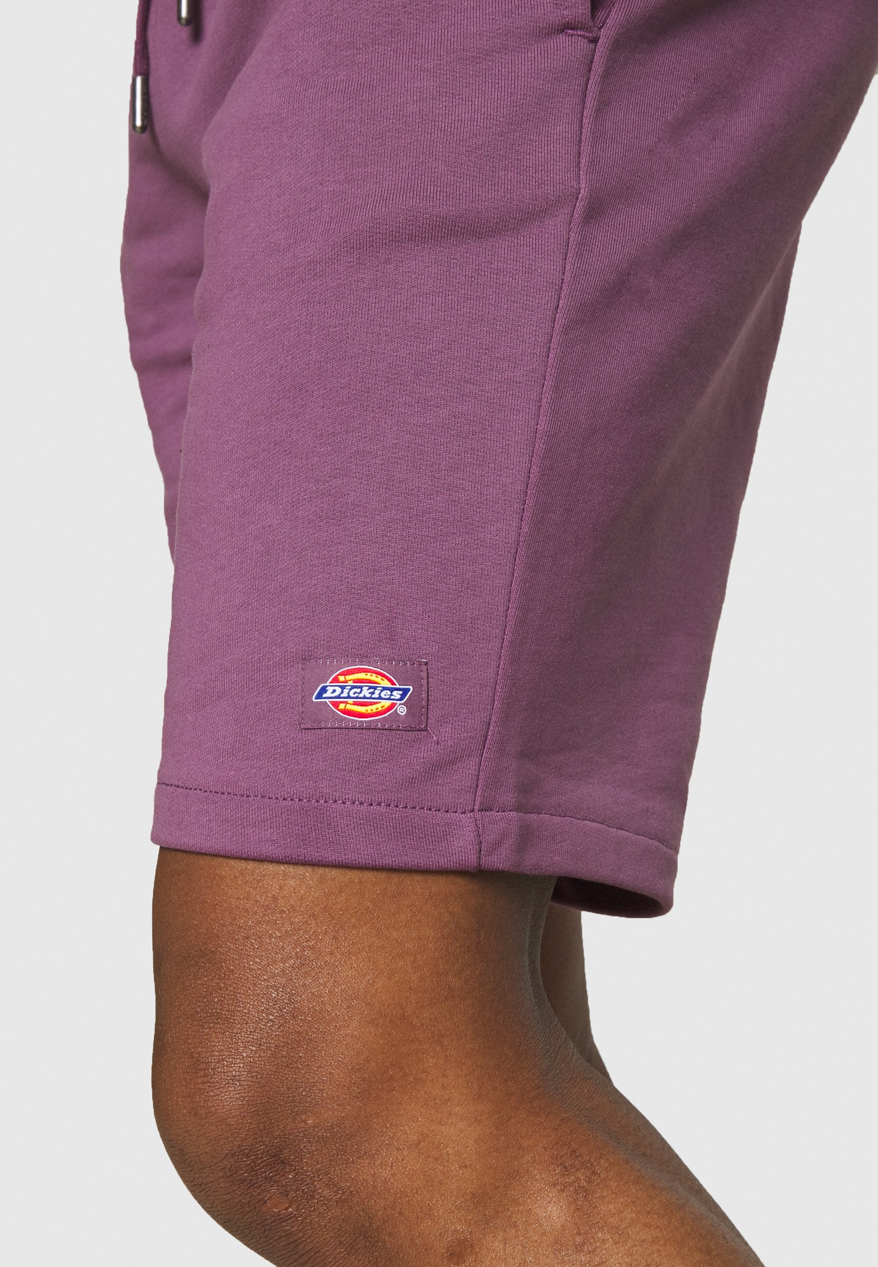 Dickies CHAMPLIN - Shorts - purple 