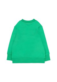Felpa verde con una texture liscia, scollatura rotonda e maniche lunghe. Presenta polsini e orlo a costine per una vestibilità ottimale. Vista posteriore mostrata.