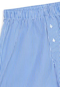 Shorts in tessuto blu chiaro e bianco a righe con cintura elastica, dotati di due bottoni e una tasca laterale per un tocco funzionale.