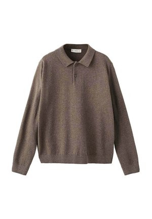 Pull polo en maille marron à manches longues avec col et deux boutons sur fond blanc.