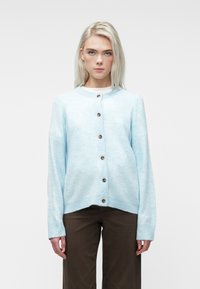 Jauna sieviete ar taisniem blondiem matiem, uzvilkusi gaiši zilu poga�ļainu džemperi un tumši brūnas bikses uz viendabīgas baltas fona.