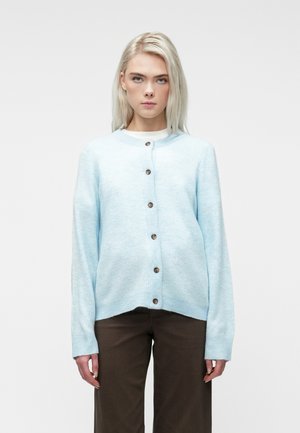 Młoda kobieta z prostymi blond włosami, ubrana w jasnoniebieską zapinaną kardigan i ciemnobrązowe spodnie, na jednolitym białym tle.