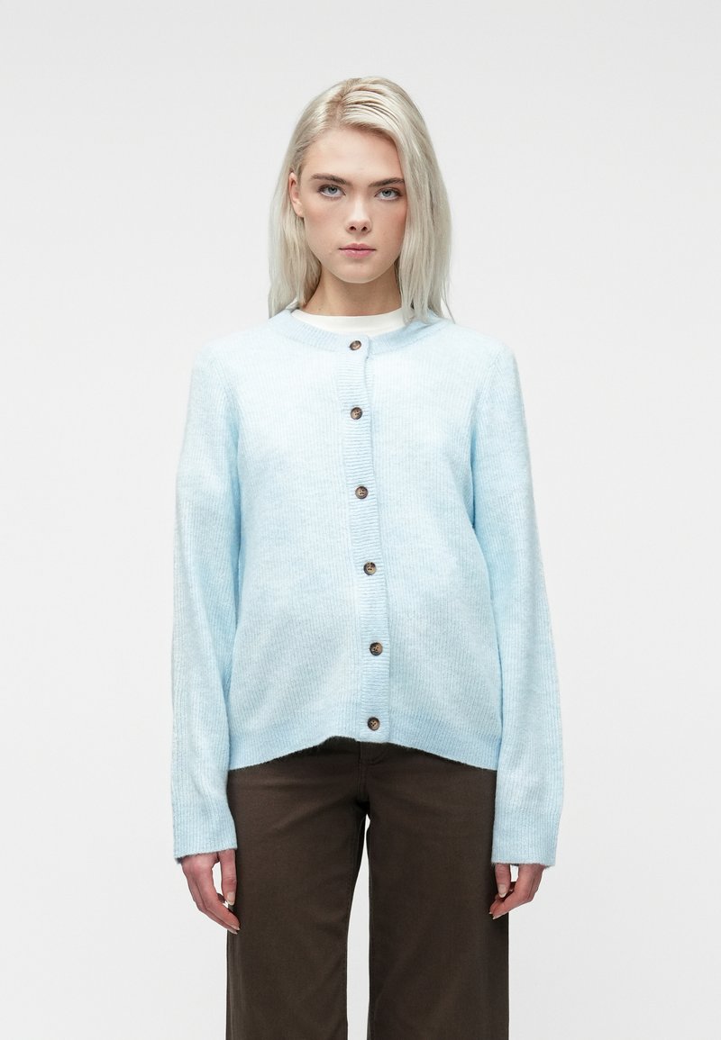 Jauna sieviete ar taisniem blondiem matiem, uzvilkusi gaiši zilu pogaļainu džemperi un tumši brūnas bikses uz viendabīgas baltas fona.