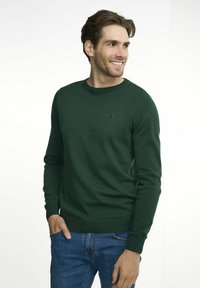 Ciemnozielony sweter z dzianiny z okrągłym dekoltem oraz ściągaczami przy mankietach i u dołu. Mały detal logo na piersi, noszony z niebieskimi dżinsami.