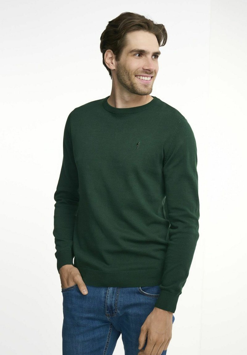 Ciemnozielony sweter z dzianiny z okrągłym dekoltem oraz ściągaczami przy mankietach i u dołu. Mały detal logo na piersi, noszony z niebieskimi dżinsami.