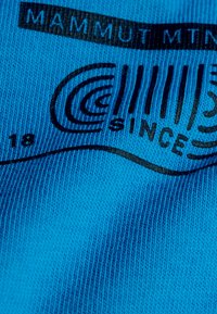 Mammut MASSONE EMBLEMS - T-shirt med print - glacier blue
