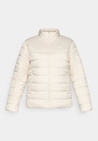 PADDED JACKET - Zimska jakna - alpine snow
