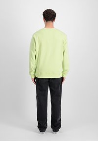 Lys grøn sweatshirt med ribbede manchetter og kant, båret over mørke jeans, set fra ryggen. Glat tekstur, afslappet pasform.
