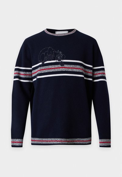 Pull bleu marine avec des rayures horizontales blanches, grises et rouges et un motif de chat brodé discret près de la rayure de la poitrine.