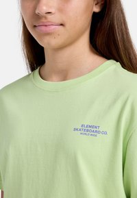 T-shirt in cotone verde chiaro con scollatura a girocollo e maniche corte. Fronte con logo testuale blu "ELEMENT SKATEBOARD CO. WORLD WIDE".