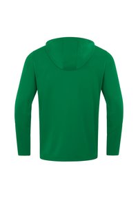 Grüne Kapuzen-Sweatshirt, lange Ärmel, glatte Textur, einfaches Design, keine sichtbaren Logos oder Muster, Rückansicht.