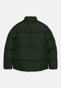 Chaqueta acolchada de color verde oscuro con cuello alto, vista desde atrás, con costuras horizontales y mangas largas.