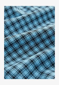 Ausgewählt, blue gingham