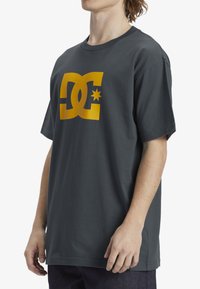 DC Shoes STAR - Marškinėliai su spaudiniu - stormy weather