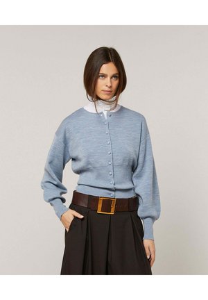 Vrouw draagt een lichtblauwe gebreide cardigan met knopen, een witte coltop, een zwarte geplooide rok en een brede bruine riem met een grote rechthoekige gesp.