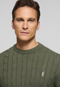 Olivgrön stickad tröja med en texturerad kabelmönster, med rundad halsringning och en liten broderad logotyp på bröstet.