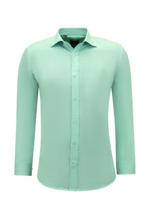 Mintgroen herenoverhemd met lange mouwen, button-down sluiting aan de voorkant, spreadkraag en een klein geborduurd logo op de linkerborst.