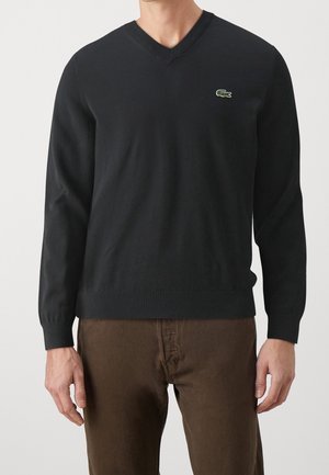 Mann trägt einen schwarzen V-Ausschnittpullover mit einem kleinen grünen Krokodil-Logo auf der Brust und braune Hosen.