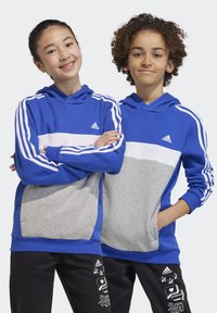 Sudadera con capucha azul con paneles blancos y grises, que cuenta con puños elásticos y bolsillos. Tres rayas blancas en las mangas. Logo de Adidas en el pecho.