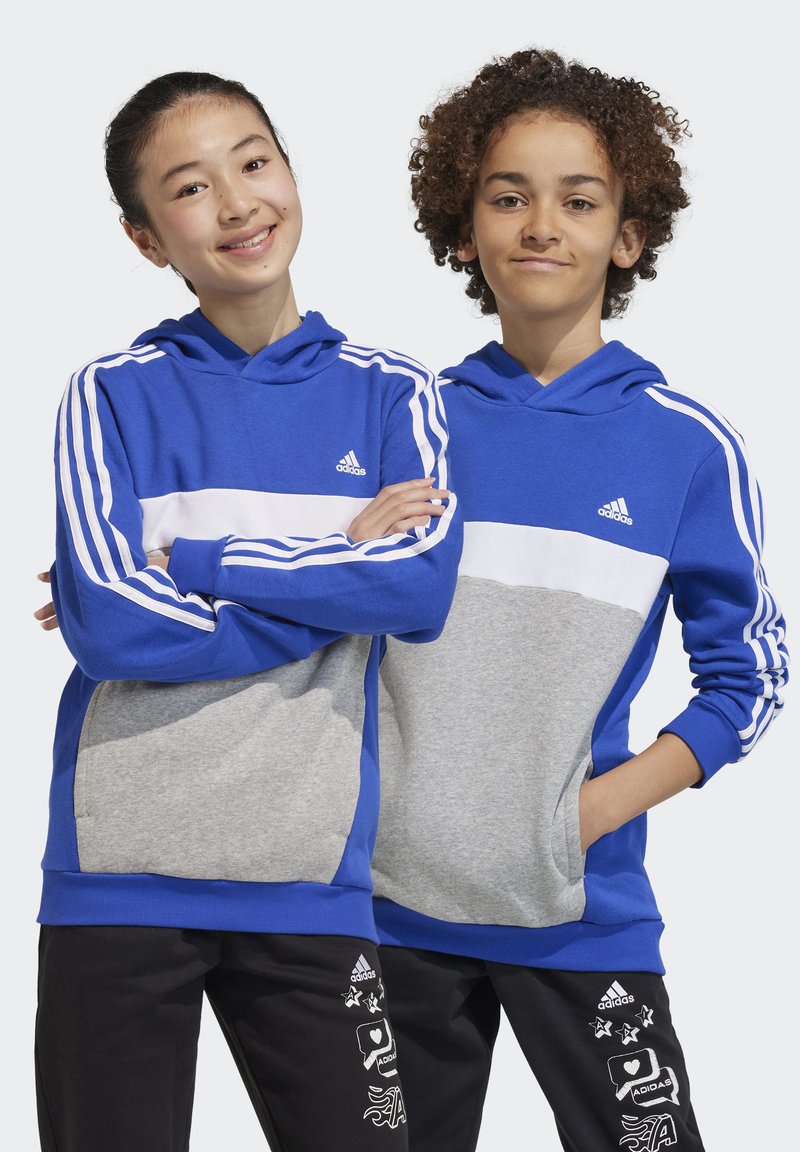 Sudadera con capucha azul con paneles blancos y grises, que cuenta con puños elásticos y bolsillos. Tres rayas blancas en las mangas. Logo de Adidas en el pecho.