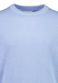 Lichtblauwe geribbelde trui met ronde hals en fijne verticale breistructuur, vanaf de borst naar boven getoond tegen een witte achtergrond.