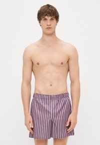Shorts de baie cu dungi, cu o bază purpurie și dungi verticale de culoare albastră deschisă, având un talie elastică. Fără detalii sau modele suplimentare.