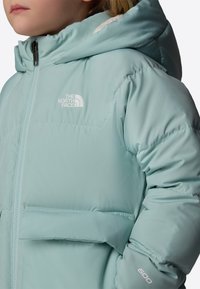 The North Face Zimní kabát - muted pine