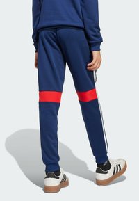 Marineblaue Sporthosen mit roten Seitenstreifen und weißen Details. Aus glattem Stoff gefertigt, mit elastischen Bündchen und schmaler Passform.